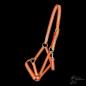 Preview: Reflektierendes Halfter Neonorange, kl. Warmblut (AT23-2209)